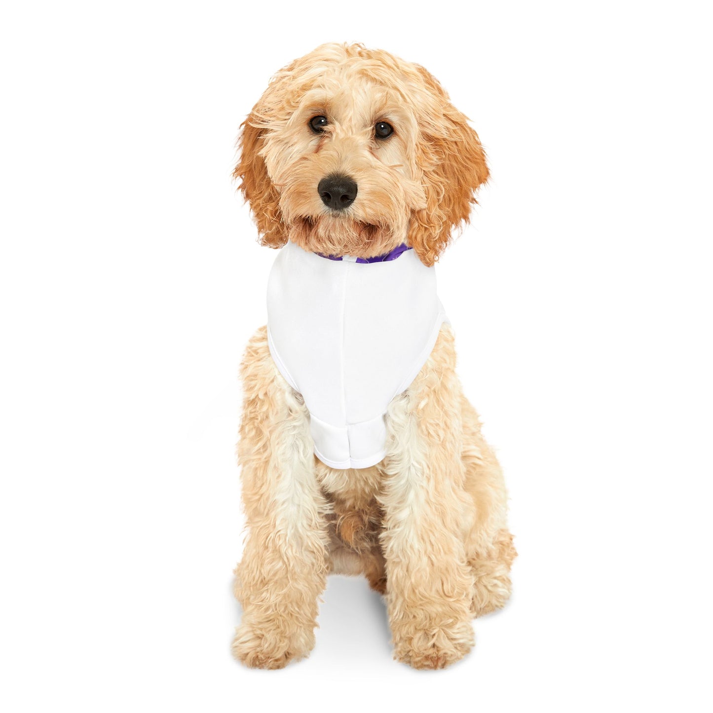 Natural Born Reider Pet Hoodie