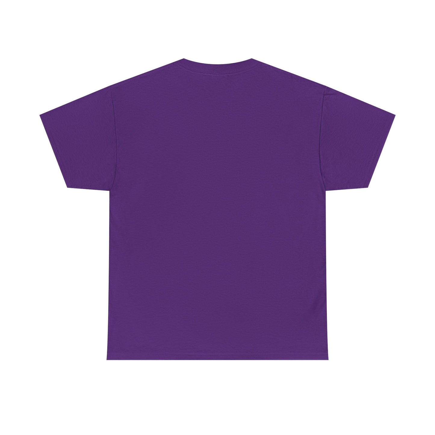 Juneteenth Freedom Flag T Shirt
