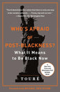 Who's Afraid of Post-Blackness?: What It Means to Be Black Now - Ingram